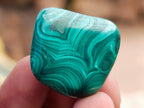 Polished Flower Banded Malachite Free Forms x 70 From Congo