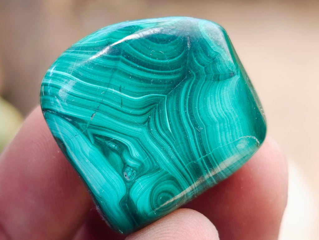Polished Flower Banded Malachite Free Forms x 70 From Congo