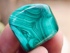 Polished Flower Banded Malachite Free Forms x 70 From Congo