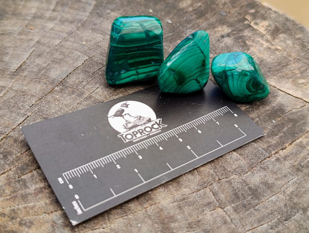 Polished Flower Banded Malachite Free Forms x 70 From Congo