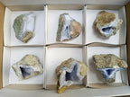 Natural Blue Lace Agate Geode Specimens x 6 From Nsanje, Malawi - Toprock Gemstones and Minerals 