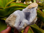 Natural Blue Lace Agate Geode Specimens x 6 From Nsanje, Malawi - Toprock Gemstones and Minerals 