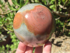 Polished Polychrome Jasper Spheres x 3 From NW Coast, Madagascar - Toprock Gemstones and Minerals 