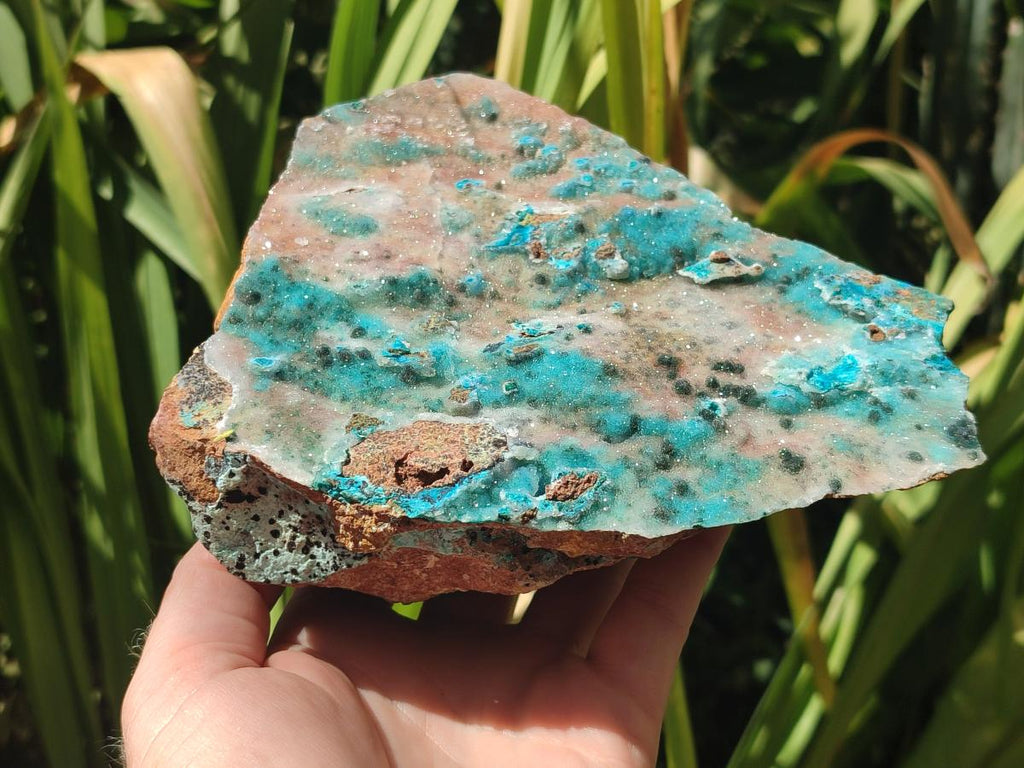 Natural Large Drusy Coated Chrysocolla Specimen x 1 From Lupoto Mine, Congo - Toprock Gemstones and Minerals 
