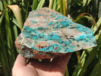 Natural Large Drusy Coated Chrysocolla Specimen x 1 From Lupoto Mine, Congo - Toprock Gemstones and Minerals 