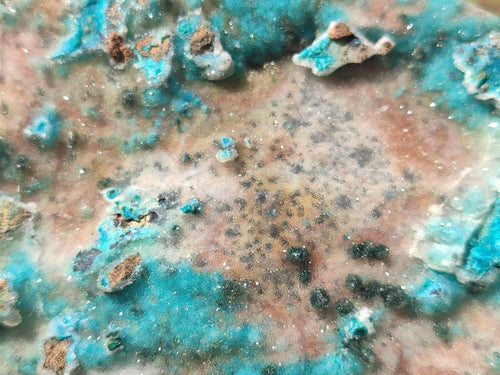 Natural Large Drusy Coated Chrysocolla Specimen x 1 From Lupoto Mine, Congo - Toprock Gemstones and Minerals 