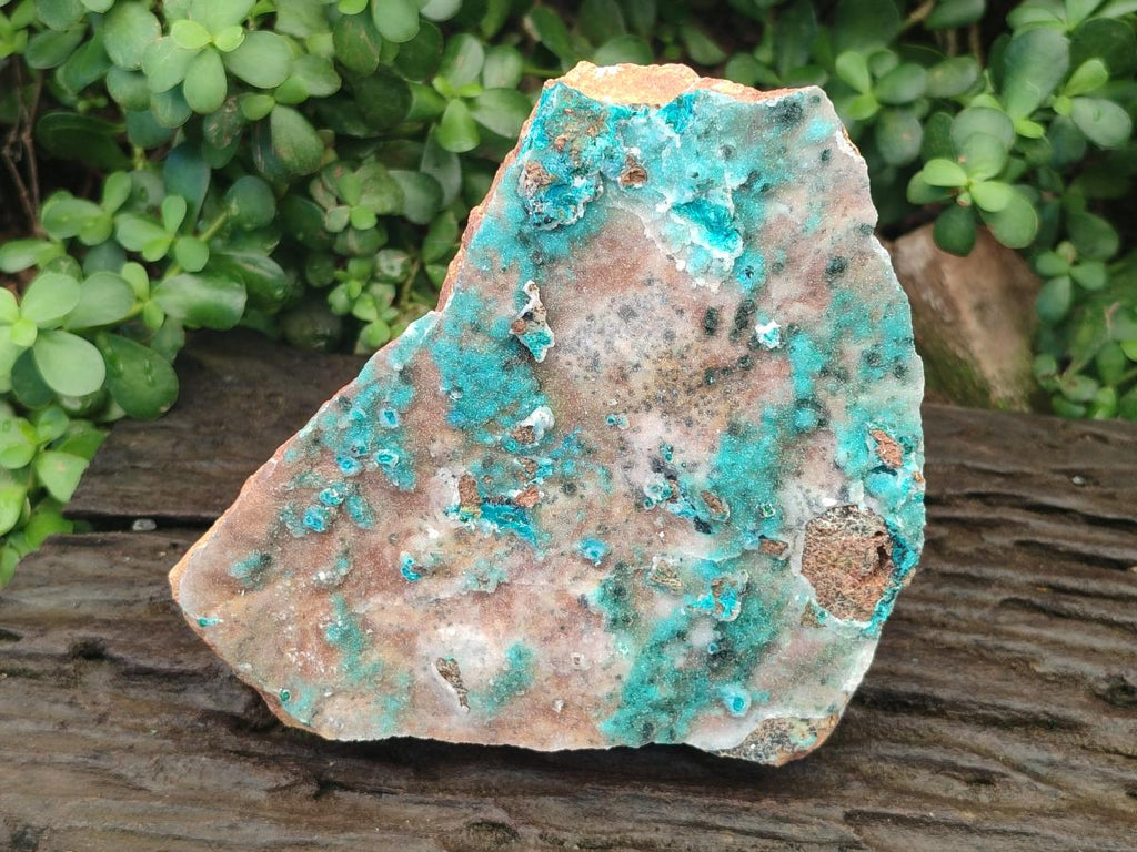 Natural Large Drusy Coated Chrysocolla Specimen x 1 From Lupoto Mine, Congo - Toprock Gemstones and Minerals 