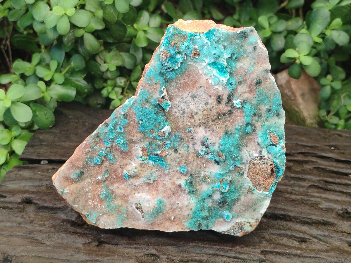 Natural Large Drusy Coated Chrysocolla Specimen x 1 From Lupoto Mine, Congo - Toprock Gemstones and Minerals 
