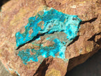 Natural Large Drusy Coated Chrysocolla Specimen x 1 From Lupoto Mine, Congo - Toprock Gemstones and Minerals 