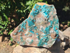 Natural Large Drusy Coated Chrysocolla Specimen x 1 From Lupoto Mine, Congo - Toprock Gemstones and Minerals 
