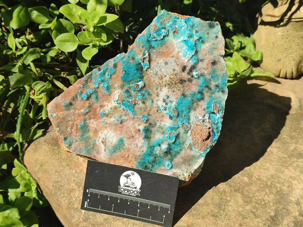 Natural Large Drusy Coated Chrysocolla Specimen x 1 From Lupoto Mine, Congo - Toprock Gemstones and Minerals 