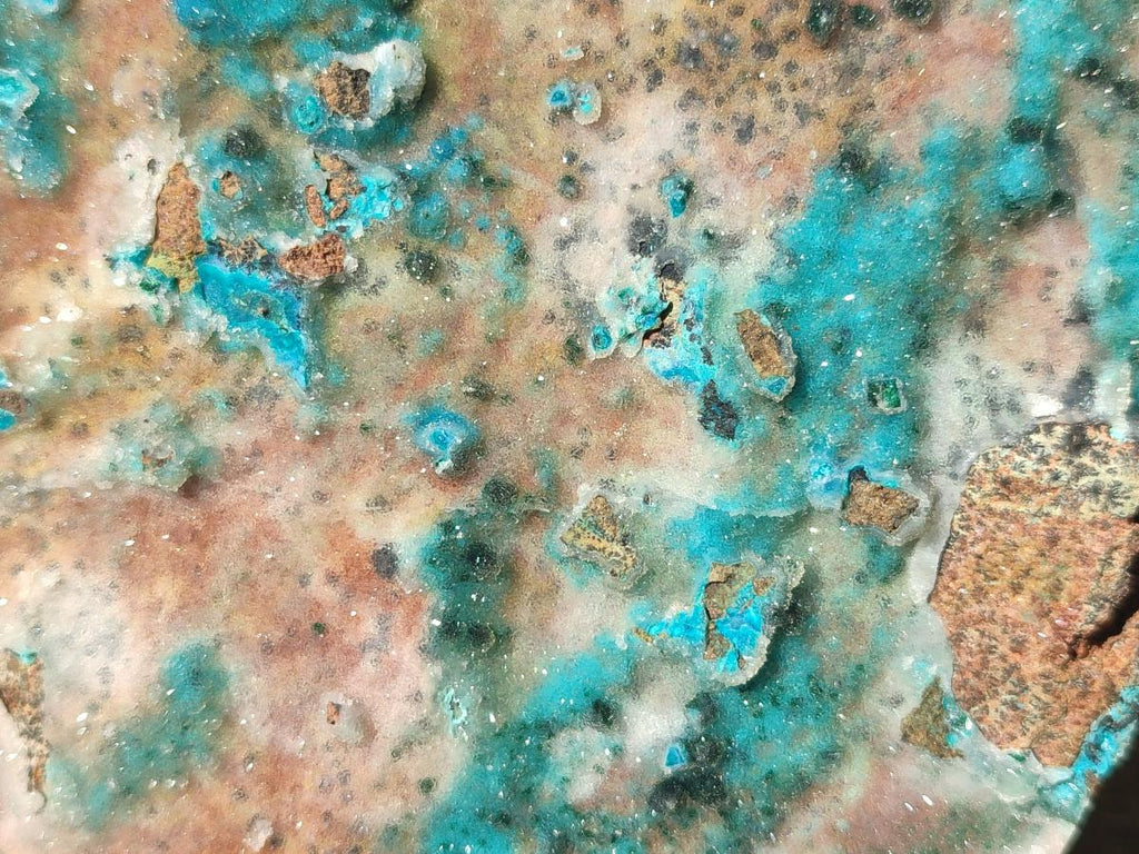 Natural Large Drusy Coated Chrysocolla Specimen x 1 From Lupoto Mine, Congo - Toprock Gemstones and Minerals 