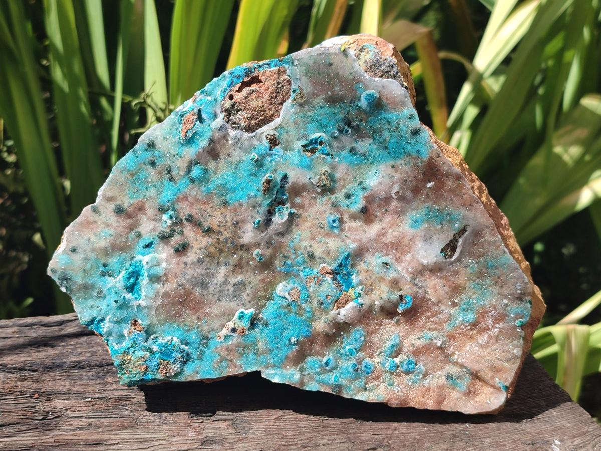 Natural Large Drusy Coated Chrysocolla Specimen x 1 From Lupoto Mine, Congo - Toprock Gemstones and Minerals 