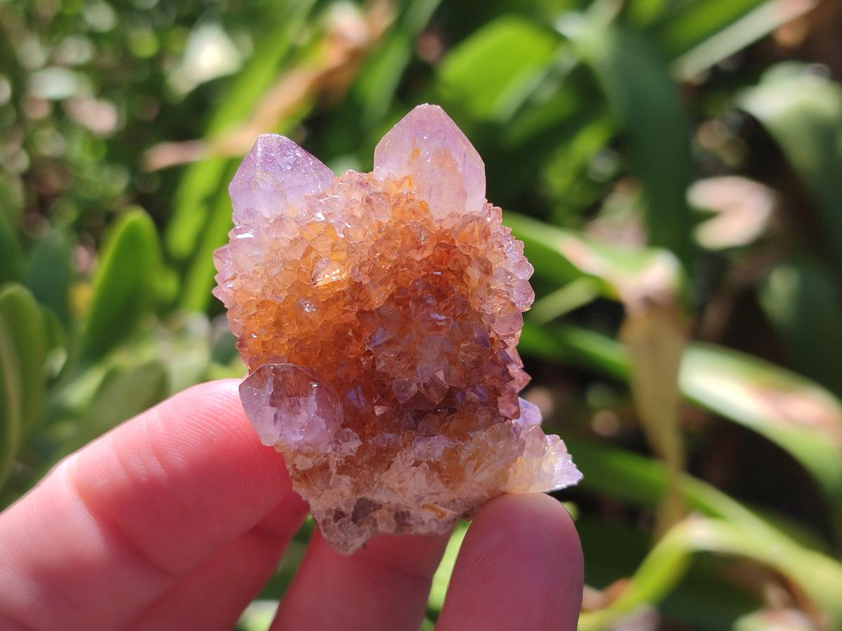 Natural Lilac Spirit Quartz Clusters And Crystals x 28 From Boekenhouthoek, South Africa