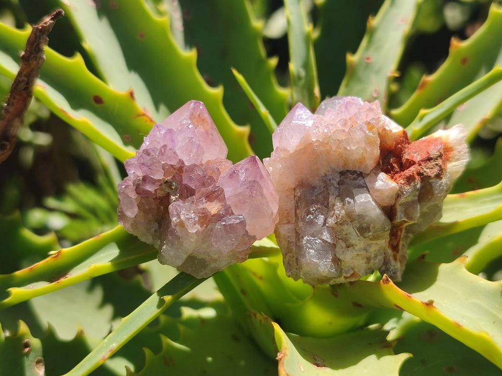 Natural Lilac Spirit Quartz Clusters And Crystals x 28 From Boekenhouthoek, South Africa