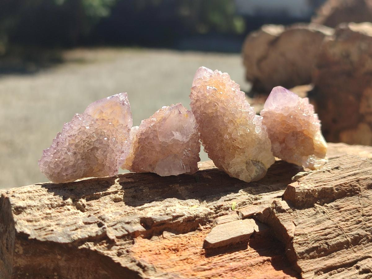 Natural Lilac Spirit Quartz Clusters And Crystals x 28 From Boekenhouthoek, South Africa