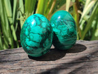 Polished Flower Banded Malachite Gemstone Eggs x 5 From Congo - Toprock Gemstones and Minerals 