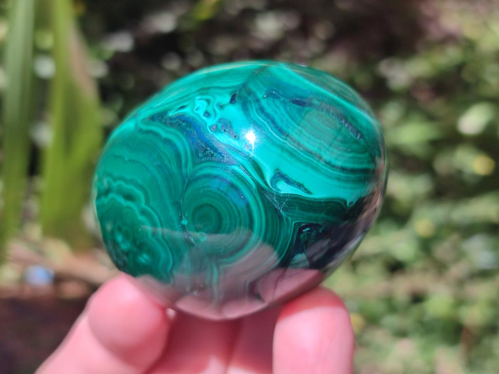 Polished Flower Banded Malachite Gemstone Eggs x 5 From Congo - Toprock Gemstones and Minerals 