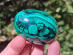 Polished Flower Banded Malachite Gemstone Eggs x 5 From Congo - Toprock Gemstones and Minerals 