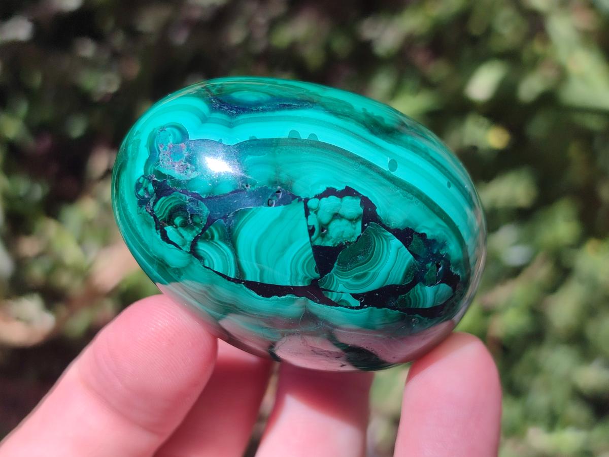 Polished Flower Banded Malachite Gemstone Eggs x 5 From Congo - Toprock Gemstones and Minerals 