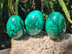Polished Flower Banded Malachite Gemstone Eggs x 5 From Congo - Toprock Gemstones and Minerals 
