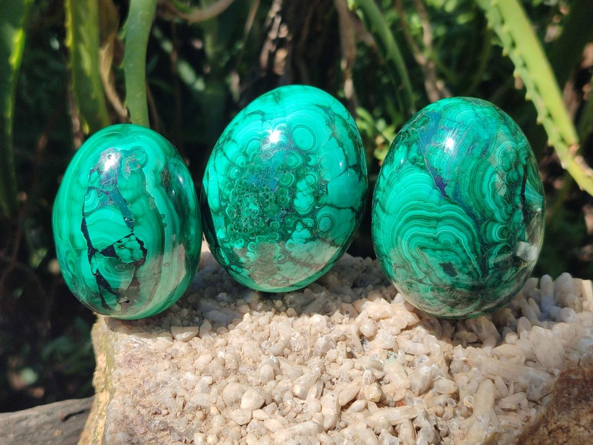 Polished Flower Banded Malachite Gemstone Eggs x 5 From Congo - Toprock Gemstones and Minerals 