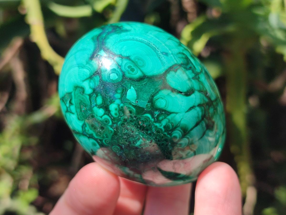 Polished Flower Banded Malachite Gemstone Eggs x 5 From Congo