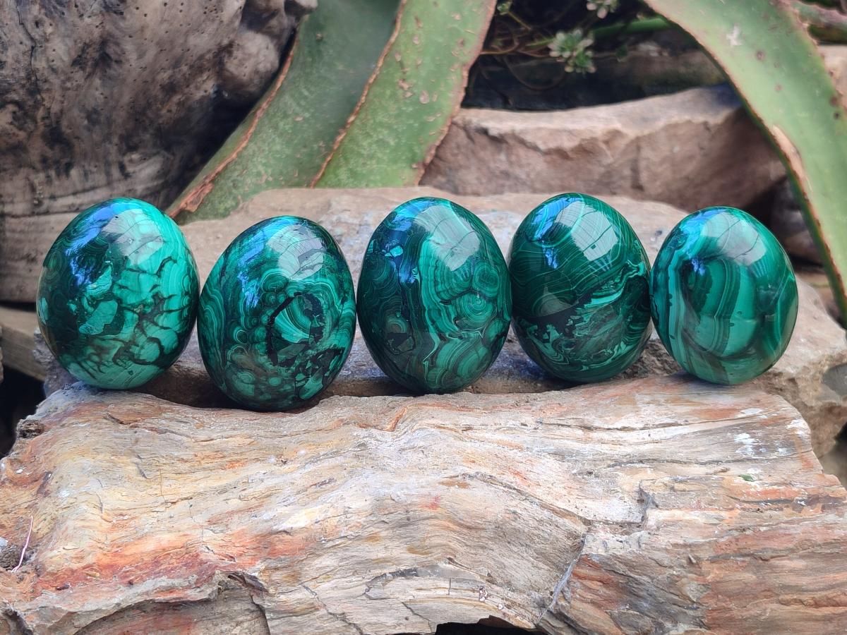 Polished Flower Banded Malachite Gemstone Eggs x 5 From Congo - Toprock Gemstones and Minerals 