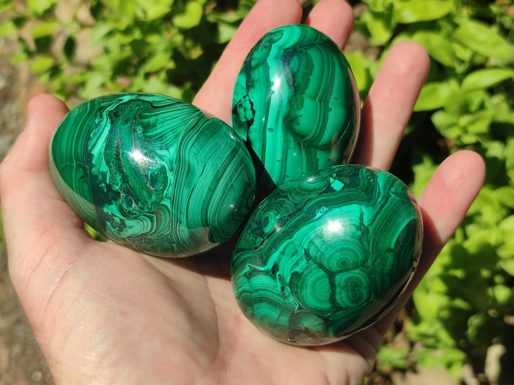Polished Flower Banded Malachite Gemstone Eggs x 5 From Congo - Toprock Gemstones and Minerals 