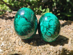 Polished Flower Banded Malachite Gemstone Eggs x 5 From Congo - Toprock Gemstones and Minerals 