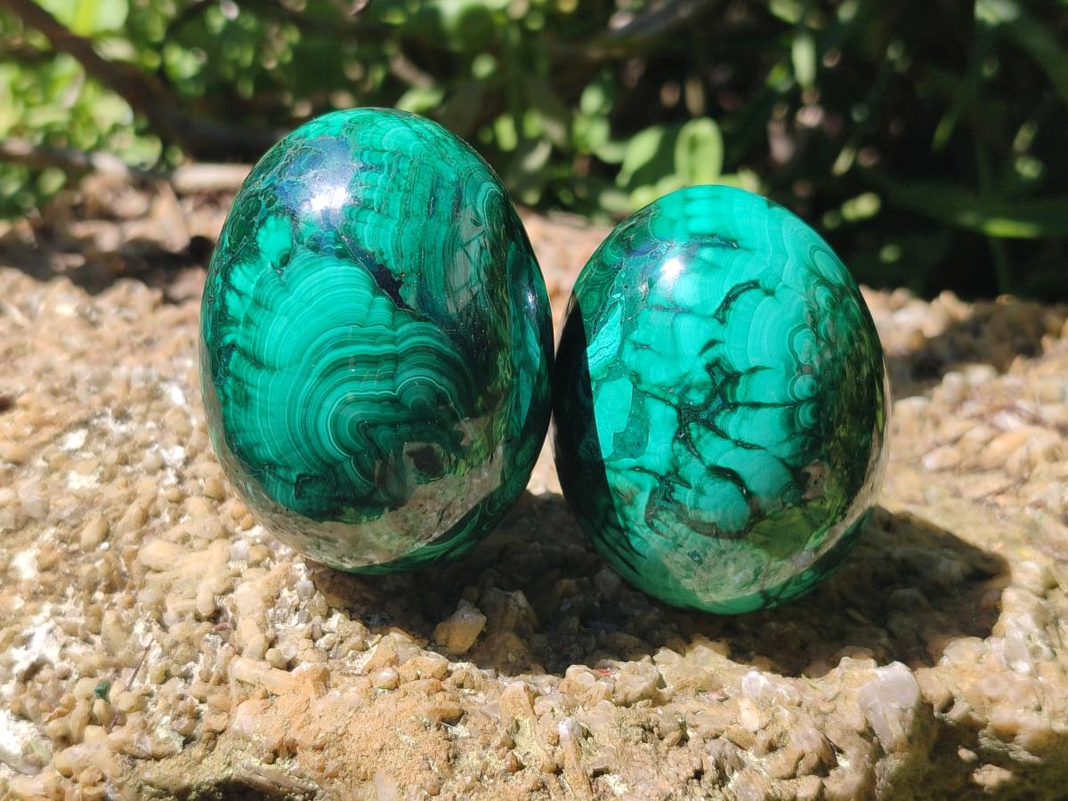 Polished Flower Banded Malachite Gemstone Eggs x 5 From Congo - Toprock Gemstones and Minerals 