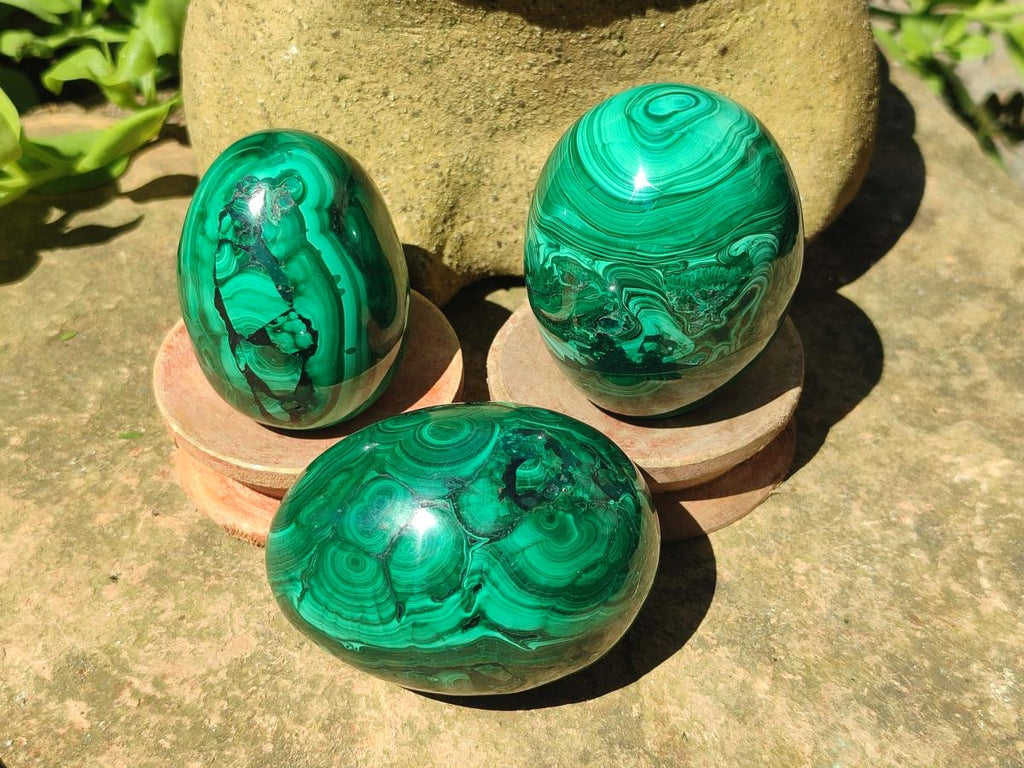 Polished Flower Banded Malachite Gemstone Eggs x 5 From Congo - Toprock Gemstones and Minerals 