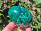 Polished Flower Banded Malachite Gemstone Eggs x 5 From Congo - Toprock Gemstones and Minerals 