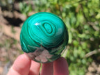 Polished Flower Banded Malachite Gemstone Eggs x 5 From Congo - Toprock Gemstones and Minerals 