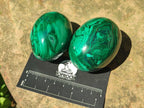 Polished Flower Banded Malachite Gemstone Eggs x 5 From Congo - Toprock Gemstones and Minerals 