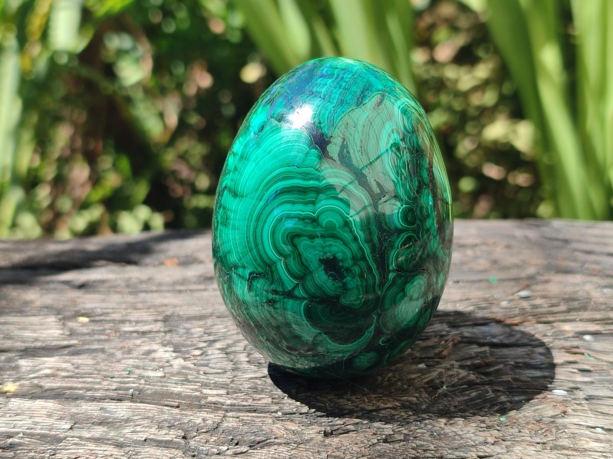 Polished Flower Banded Malachite Gemstone Eggs x 5 From Congo - Toprock Gemstones and Minerals 