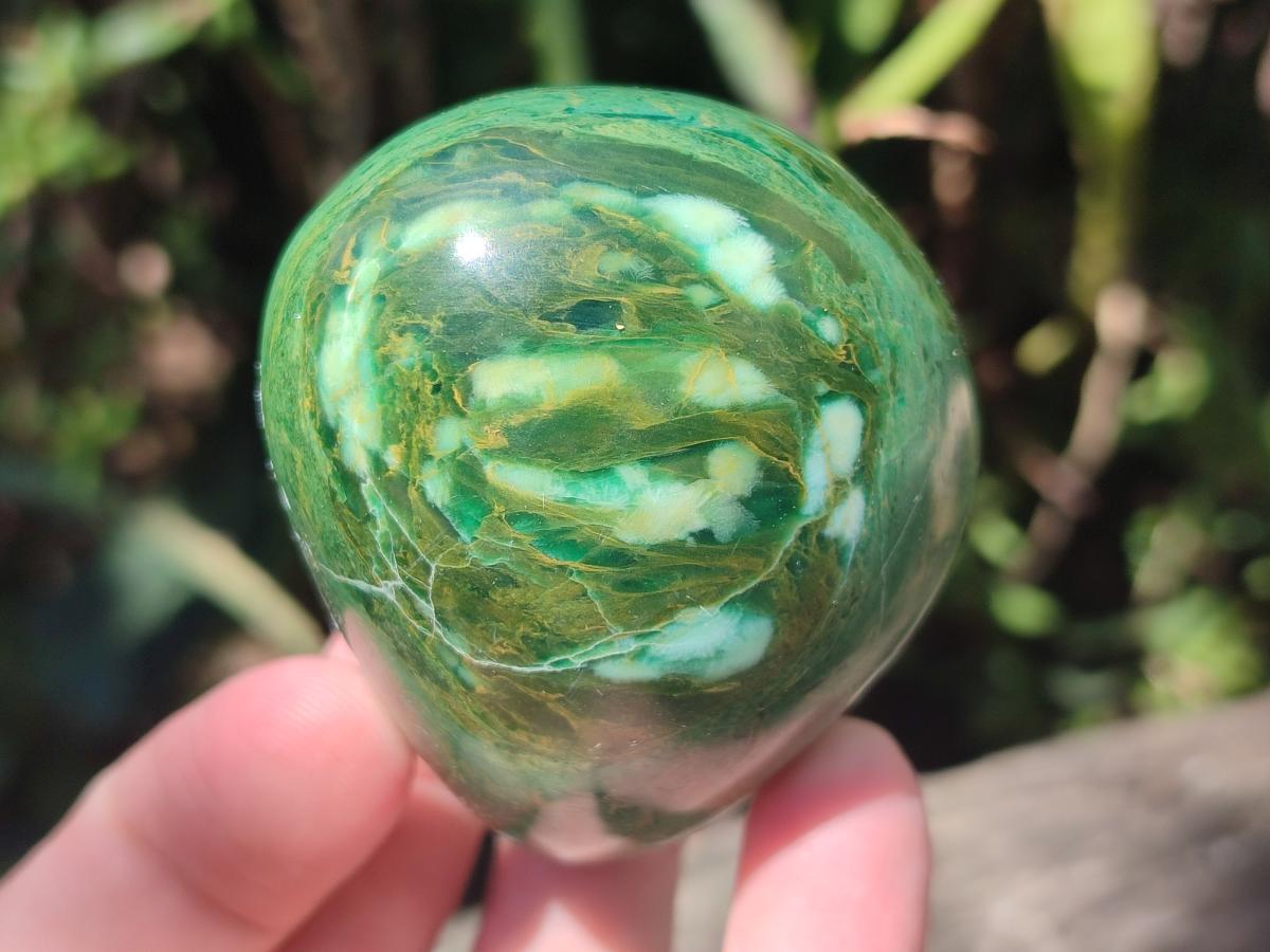 Polished Verdite Free Forms x 12 From Zimbabwe