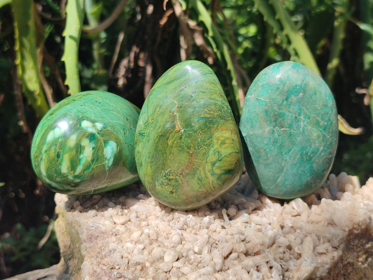 Polished Verdite Free Forms x 12 From Zimbabwe