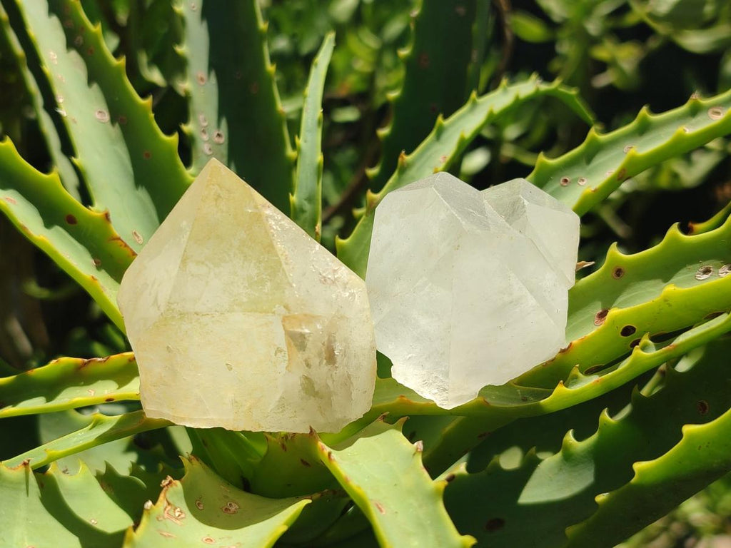 Natural Castle Quartz Crystals x 24 From Madagascar