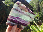 Polished Watermelon Fluorite Slices x 2 From Uis, Namibia