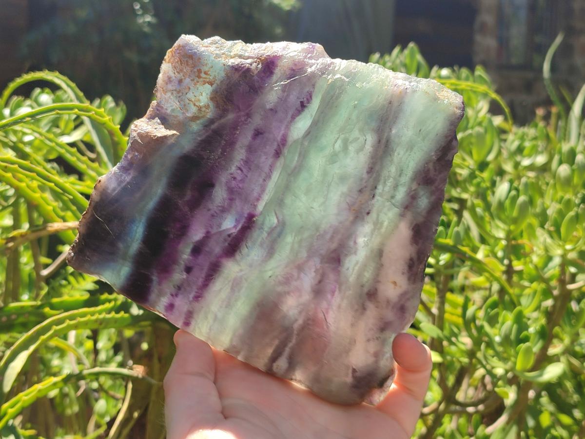 Polished Watermelon Fluorite Slices x 2 From Uis, Namibia