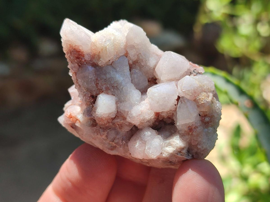 Natural Mix of Multi Mineral Specimens x 49 From Southern Africa