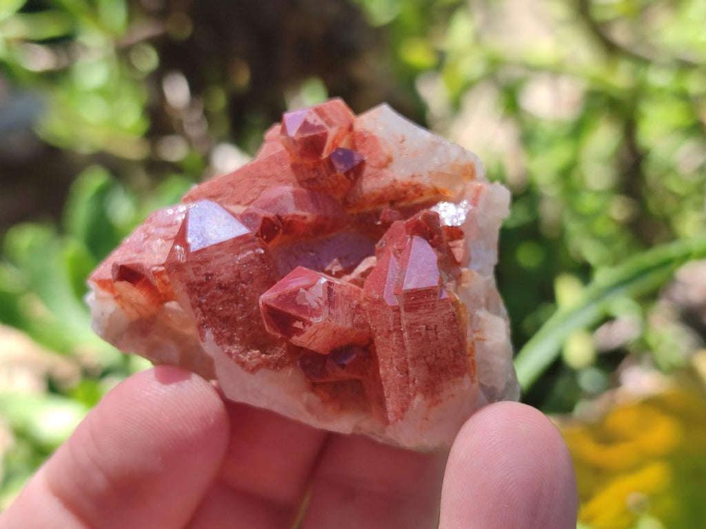 Natural Mix of Multi Mineral Specimens x 49 From Southern Africa