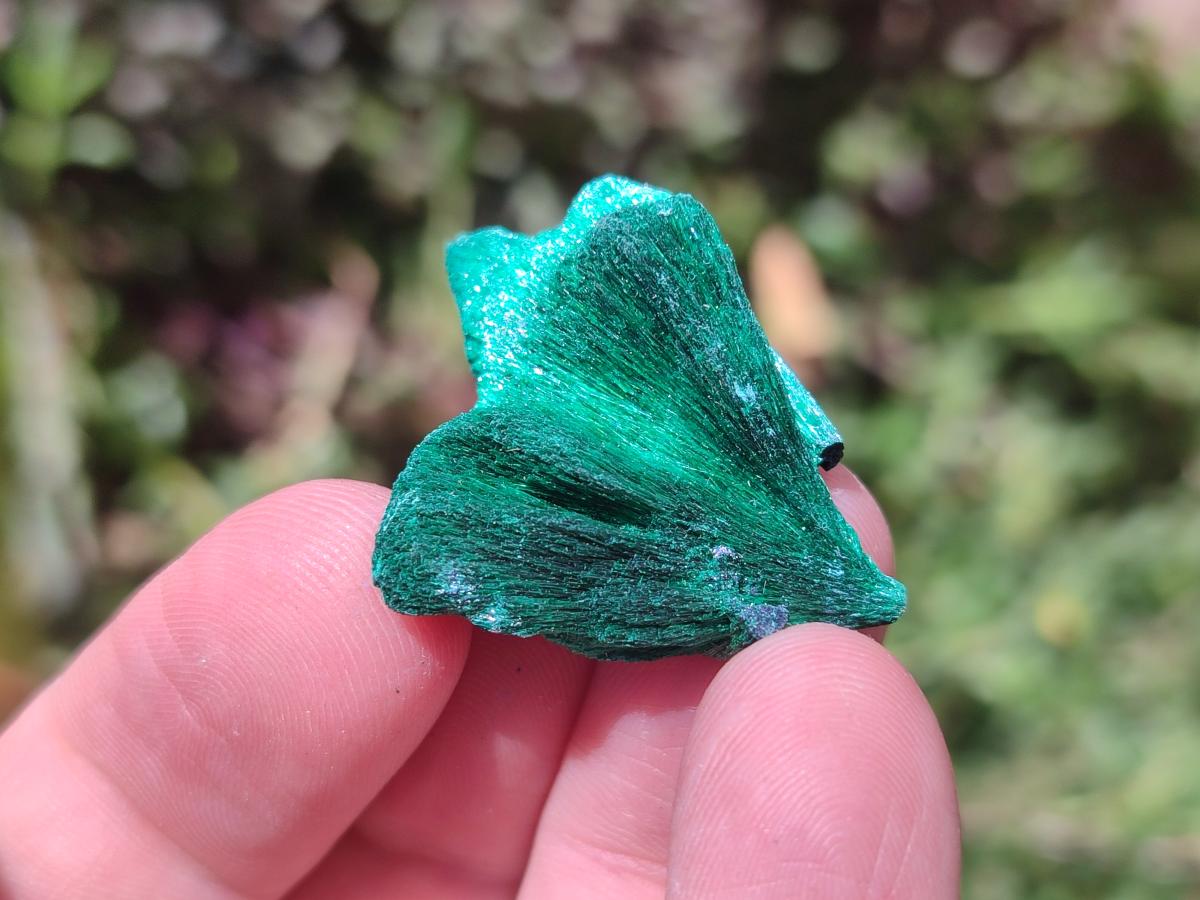 Natural Mix of Multi Mineral Specimens x 49 From Southern Africa