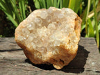 Natural Golden Limonite Quartz Clusters With Goethite Inclusions x 3 From Solwezi, Zambia - Toprock Gemstones and Minerals 