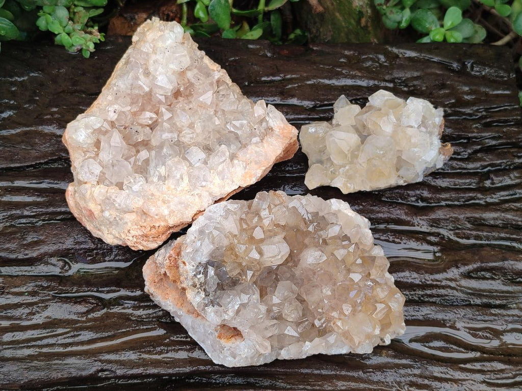 Natural Golden Limonite Quartz Clusters With Goethite Inclusions x 3 From Solwezi, Zambia - Toprock Gemstones and Minerals 