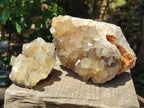 Natural Golden Limonite Quartz Clusters With Goethite Inclusions x 3 From Solwezi, Zambia - Toprock Gemstones and Minerals 