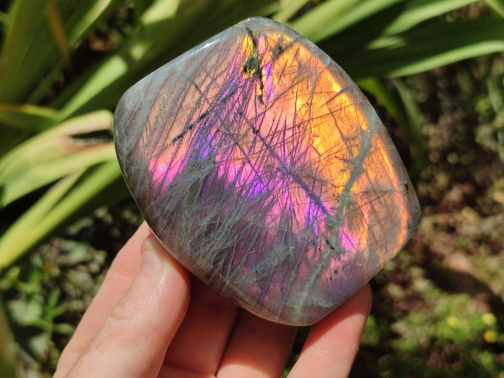 Polished Rare Purple Sunset Flash Labradorite Standing Free Forms x 3 From Madagascar - Toprock Gemstones and Minerals 