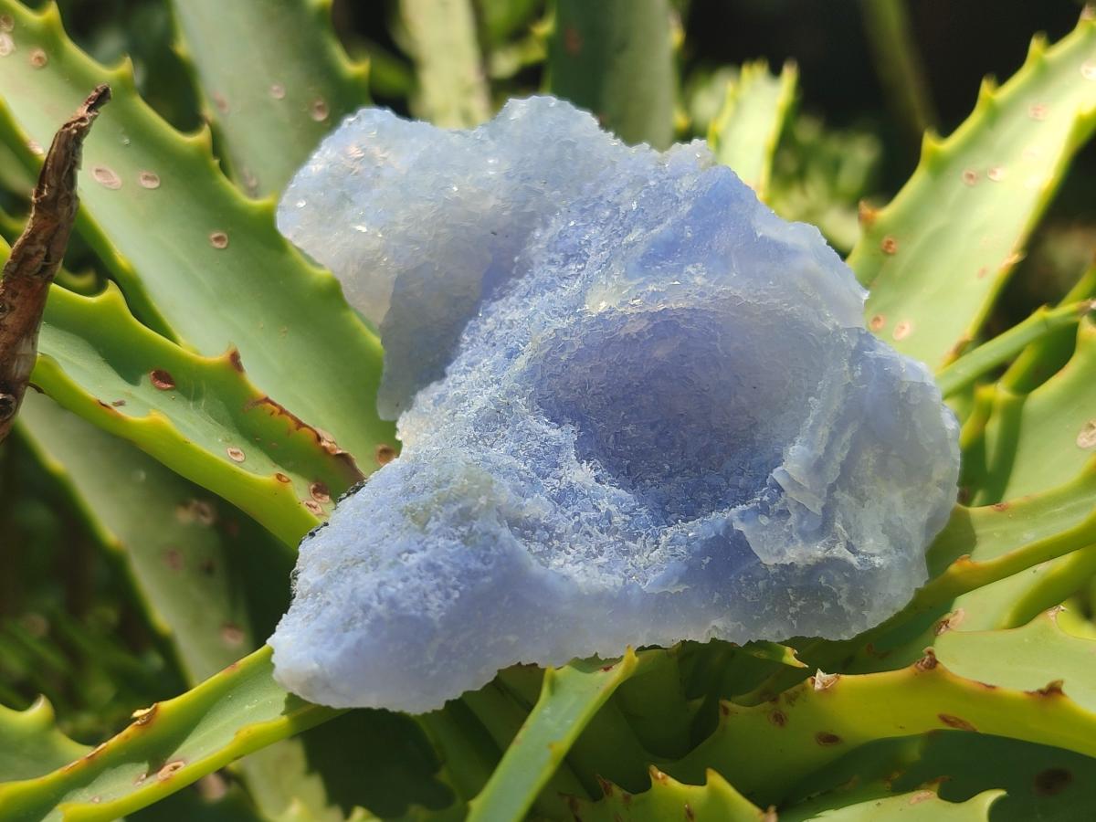 Natural Etched Blue Lace Agate Specimens x 12 From Nsanje, Malawi - Toprock Gemstones and Minerals 