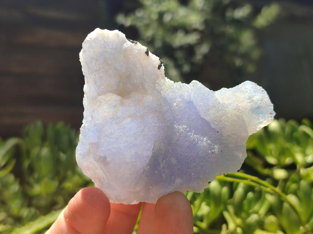 Natural Etched Blue Lace Agate Specimens x 12 From Nsanje, Malawi - Toprock Gemstones and Minerals 